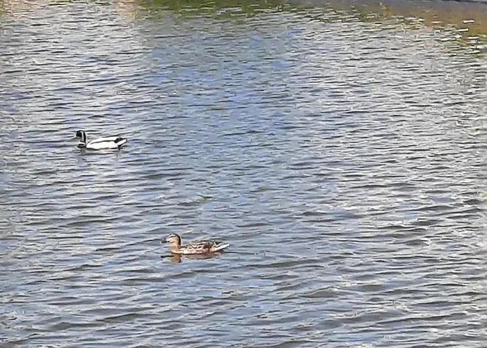 Casa de Férias Casa Dina